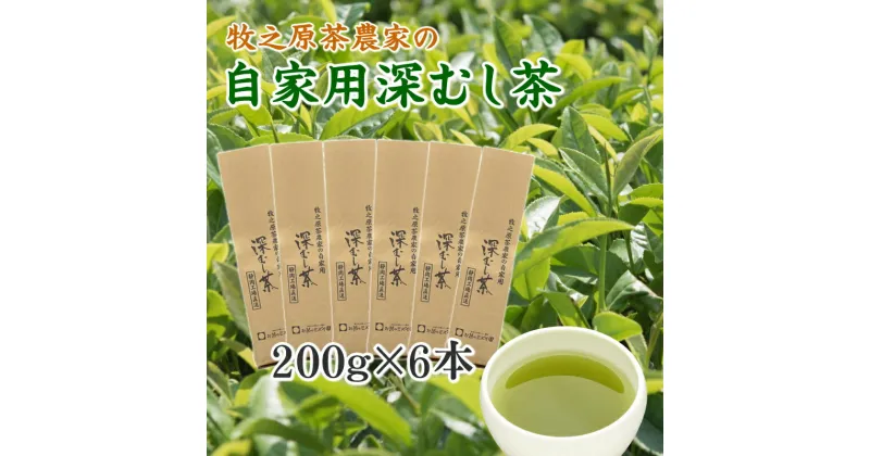 【ふるさと納税】牧之原茶農家の自家用深むし茶200g×6本 / お茶 静岡