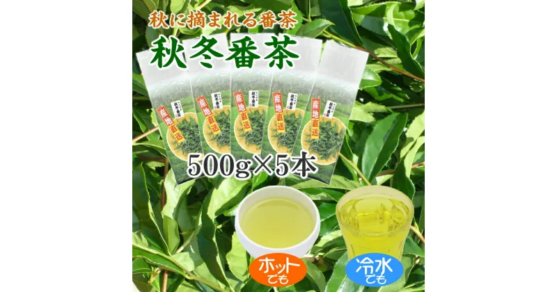 【ふるさと納税】秋冬番茶　500g×5本 / お茶 静岡