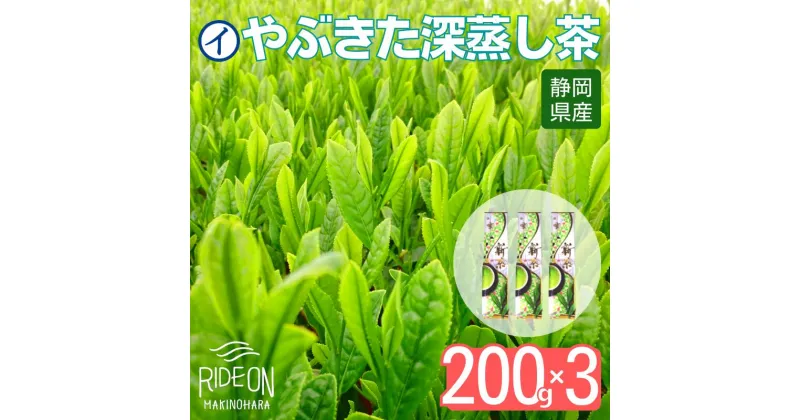 【ふるさと納税】155-1 静岡牧之原産 やぶきた深蒸し茶200g入り 3袋