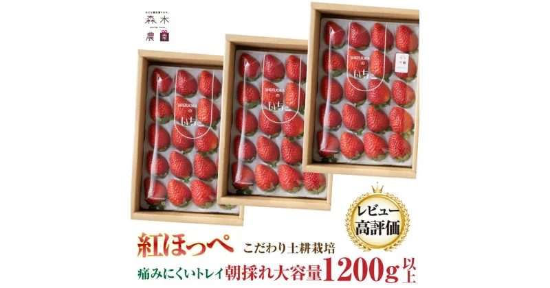 【ふるさと納税】060-14 完熟 いちご ☆紅ほっぺ 400g×3P 合計1200g以上 ※ゆりかごパックでお届け【常温発送】 / 苺 フルーツ 果物