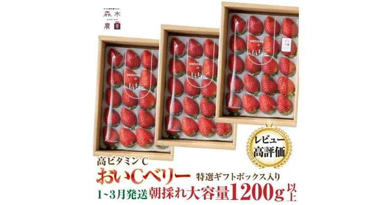 【ふるさと納税】060-15　ビタミンC含有量No.1☆完熟[おいCベリー]400g×3P 　合計1200g以上　※ゆりかごパックでお届け 【常温発送】/ いちご フルーツ 果物