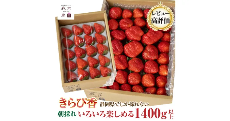 【ふるさと納税】060-24 いちごバラエティーパック1400g以上【きらぴ香】常温発送