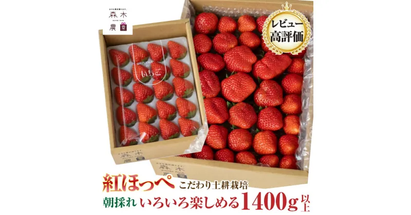 【ふるさと納税】060-25　いちごバラエティーパック1400g以上【紅ほっぺ】（常温発送）