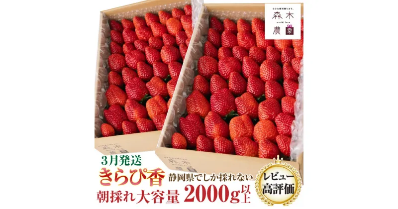 【ふるさと納税】060-28　【3月発送】完熟☆濃く甘いちご『きらぴ香』合計2000g以上！【クール便にて発送】※静岡限定品種