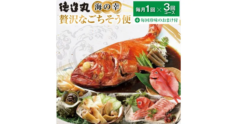 【ふるさと納税】（冷凍） 贅沢なごちそう定期便 毎月1回×3回コース＋毎回人気の珍味付き E017 ／ 徳造丸 金目鯛 海の幸 海鮮 静岡県 東伊豆町