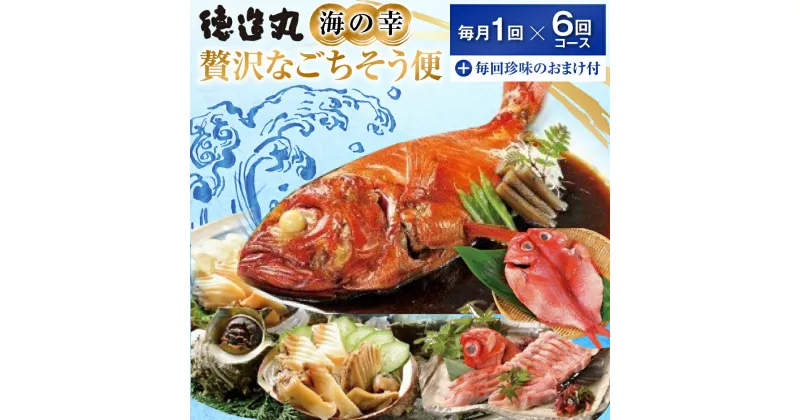 【ふるさと納税】（冷凍） 贅沢なごちそう定期便 毎月1回×6回コース＋毎回人気の珍味付き G010 ／ 徳造丸 金目鯛 海の幸 海鮮 静岡県 東伊豆町