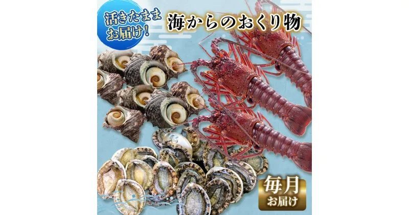 【ふるさと納税】伊勢海老 アワビ サザエ 定期便 年12回 海からのお届け物 ワカメ ひじき はんばのり 干物 伊勢エビ さざえ あわび わかめ 海苔 天草 煮魚 惣菜 えび 鮑 貝 魚 魚介 魚介類 海鮮 海鮮セット セット 冷蔵 静岡 静岡県 12回 お楽しみ　【 河津町 】