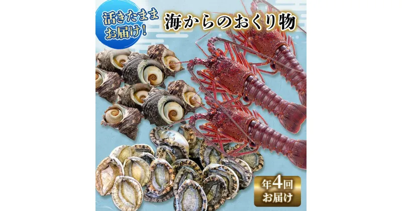 【ふるさと納税】伊勢海老 アワビ サザエ 定期便 年4回 海からのお届け物 伊勢エビ 3～8匹 さざえ 4～15個 あわび 3～5枚 伊勢えび 海老 エビ えび 鮑 貝 魚介 魚介類 海鮮 海鮮セット セット 詰め合わせ 冷蔵 刺身 焼き物 静岡 静岡県 4回 お楽しみ　【 河津町 】