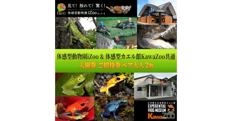 【ふるさと納税】イズー カワズー (ペア・大人2名） 共通入園券 爬虫類 動物園 河津町 観光　チケット 入場券 優待券 動物園