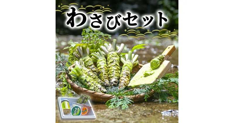 【ふるさと納税】わさび セット さくら 伊豆わさび食品直送 生わさび 2本 手作り わさび漬け 天城の春 三杯酢漬け わさびみそ 伊豆 ワサビ 茎 加工品 加工食品 薬味 詰め合わせ 静岡 【夏ギフト特集】調味料　 河津町