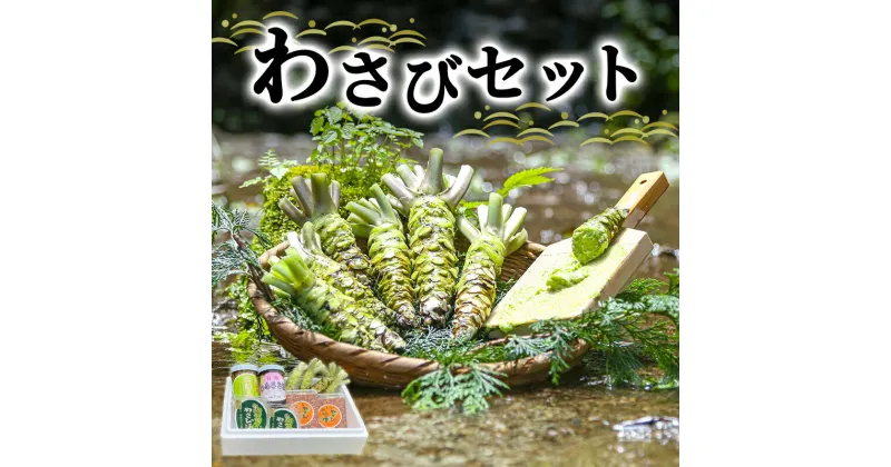 【ふるさと納税】とれたて わさび セット 池 伊豆わさび食品直送 生わさび 4本 手作り わさび漬け 天城の春 三杯酢漬け わさびみそ むらさき漬 醤油漬け 伊豆 ワサビ 茎 加工品 加工食品 薬味 詰め合わせ 静岡 【夏ギフト特集】調味料　 河津町