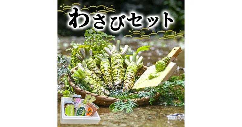 【ふるさと納税】とれたて わさび セット 滝 生産者直送 生わさび 2本 手作り わさび漬け 天城の春 三杯酢漬け わさびみそ むらさき漬 醤油漬け 伊豆 ワサビ 茎 加工品 加工食品 薬味 詰め合わせ 静岡 【夏ギフト特集】調味料　 河津町