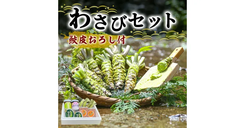 【ふるさと納税】とれたて わさび セット 池 鮫皮おろし付 伊豆わさび食品直送 生わさび 4本 手作り わさび漬け 天城の春 三杯酢漬け わさびみそ むらさき漬 醤油漬け 伊豆 ワサビ 茎 加工品 加工食品 薬味 鮫皮おろし 詰め合わせ 静岡 【夏ギフト特集】調味料　 河津町