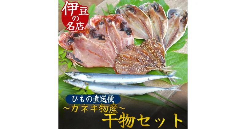 【ふるさと納税】干物 5種 10点 セット ひもの 干物 カネキ物産 詰め合わせ 手作り 天日干し うまい 美味い 無添加 無着色 お中元 お歳暮 ギフト 金目鯛 キンメダイ かます アジ キビナゴ 簡単 送料無料 冷凍 静岡 ひもの詰め合わせセット