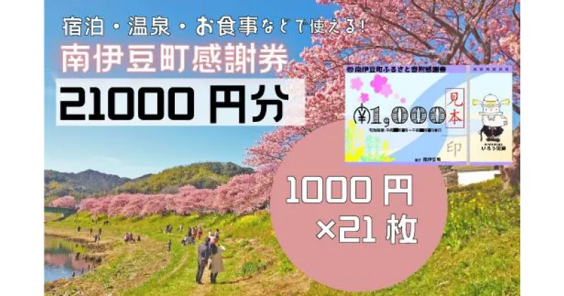 【ふるさと納税】旅行券 温泉 旅行 海水浴 体験 飲食店 チケット 南伊豆町 温泉 キャンプ 旅館 民宿 チケット 商品券 21枚 21,000円相当 ふるさと寄附感謝券21枚 トラベル お食事券 お土産 おみやげ 観光 全国旅行支援 併用可能