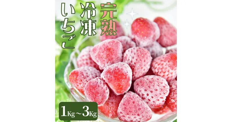 【ふるさと納税】 特別賞受賞！選べる完熟冷凍いちごBabyBerryFarm いちご 恋みのり 紅ほっぺ 恋みのり 甘い 1kg 送料無料 国産 完熟 スムージー ジャム ヨーグルト 一口サイズ イチゴ 完熟 苺 果物 フルーツ 静岡 冷凍 BabyBerryFarm