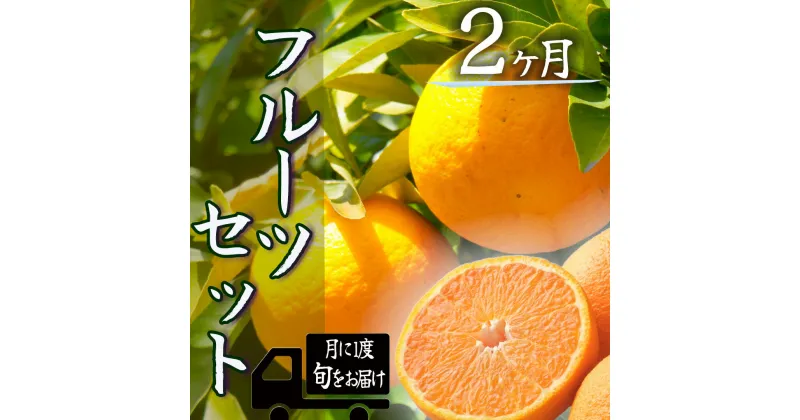 【ふるさと納税】定期便 人気 フルーツ 2回 2か月 お楽しみ 大満足 みかん 不知火 ポンカン はるみ デコポン 清見 甘夏 福原オレンジ ニューサマーオレンジ ハウスみかん ブドウ 温州ミカン 柿 青島 湯の花 旬のフルーツセット2か月間の定期便