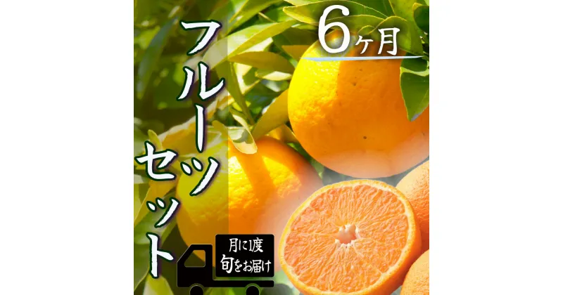 【ふるさと納税】定期便 人気 フルーツ 毎月 6回 半年間 お楽しみ 大満足 みかん 不知火 ポンカン はるみ デコポン 清見 甘夏 福原オレンジ ニューサマーオレンジ ハウスみかん ブドウ 温州ミカン 柿 青島 湯の花 みかんメインで贈るフルーツ6回の定期便