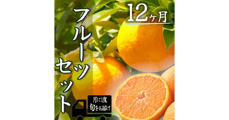 【ふるさと納税】定期便 人気 フルーツ 毎月 12回 1年間 お楽しみ 大満足 みかん 不知火 ポンカン はるみ デコポン 清見 甘夏 福原オレンジ ニューサマーオレンジ ハウスみかん ブドウ 温州ミカン 柿 青島 湯の花 みかんメインで贈るフルーツ12回の定期便