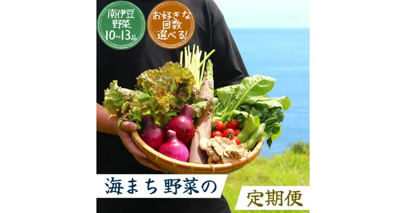 【ふるさと納税】選べる海まち野菜の定期便 10品以上 1回発送 2回発送 3回発送 6回発送 12回発送 定期便 大容量 大満足 旬 野菜 セット 定期便 1ヶ月 2ヶ月 3ヶ月 6ヶ月 12か月 1年間 お楽しみ 詰め合わせ おすすめ 美味い 山菜 きのこ 春野菜 夏野菜 秋野菜 冬野菜