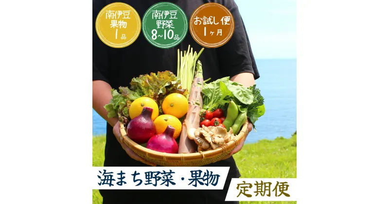 【ふるさと納税】旬の野菜と果物セット 大容量 大満足 レシピ付き 旬 野菜 フルーツ 定期便 お楽しみ 詰め合わせ 春 夏 秋 冬 おまかせ ギフト セット 新鮮 やさい 産地直送 直売所 美味しい 南伊豆町 送料無料 湯の花