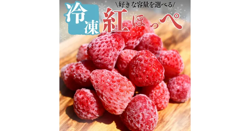 【ふるさと納税】先行予約 期間限定 セール 南伊豆産冷凍イチゴ 1kg 2kg 3kg 苺 いちご イチゴ 冷凍いちご 国産 スムージー ジャム ヨーグルト イチゴ 完熟 甘い 紅ほっぺ 果物 フルーツ 静岡 冷凍 フローズン いちご 南伊豆ファーム