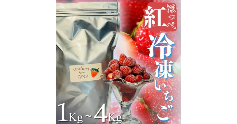 【ふるさと納税】 冷凍イチゴ 楽天スーパーセール 特別価格 期間限定 セール 1kg 2kg 3kg 4kg 苺 いちご イチゴ 国産 完熟 甘い スムージー ジャム ヨーグルト 一口サイズ 紅ほっぺ 苺 果物 フルーツ 静岡 南伊豆 冷凍 いちご 地元JA品評会金賞受賞