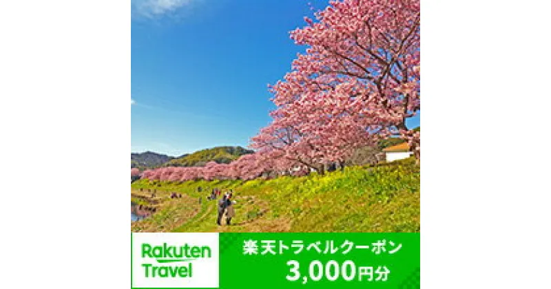 【ふるさと納税】静岡県南伊豆町の対象施設で使える楽天トラベルクーポン 寄付額3,000円