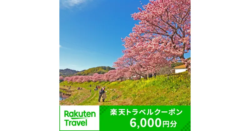 【ふるさと納税】静岡県南伊豆町の対象施設で使える楽天トラベルクーポン 寄付額6,000円