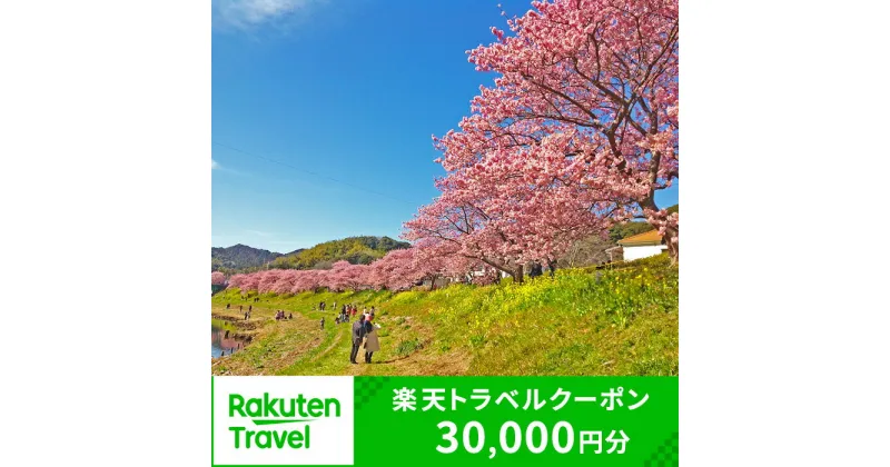 【ふるさと納税】静岡県南伊豆町の対象施設で使える楽天トラベルクーポン 寄付額30,000円