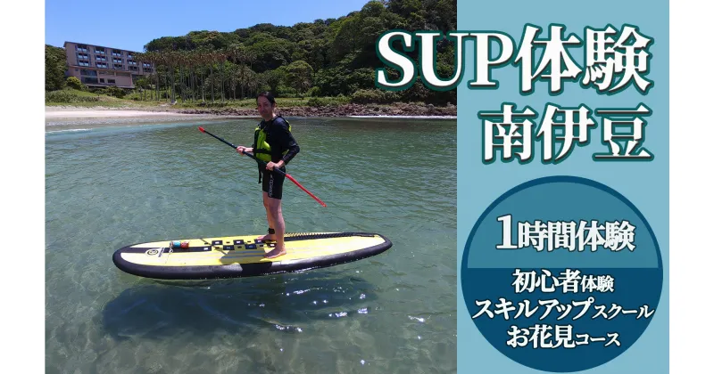 【ふるさと納税】1時間SUP体験（初心者・スキルアップ者向け） サップ 海 サマー オーシャン 夏 サーフィン 海 海遊び 海上散歩 アウトドア レジャー レッスン体験 インストラクター ボード ウエットスーツ レンタル 南伊豆 体験ギフト プレゼント アクティビティ