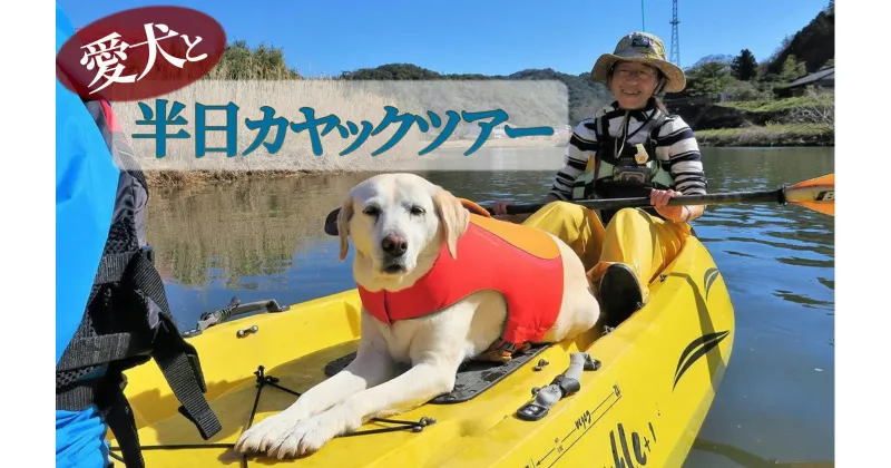 【ふるさと納税】ワンちゃんと一緒にシーカヤック体験(2人、ワンちゃん1匹) カヤック kayak 犬 海 シーカヤック サマー オーシャン 夏 春 サーフィン 海遊び アウトドア レジャー レッスン 体験 インストラクター レンタル 伊豆 南伊豆 体験 アクティビティ