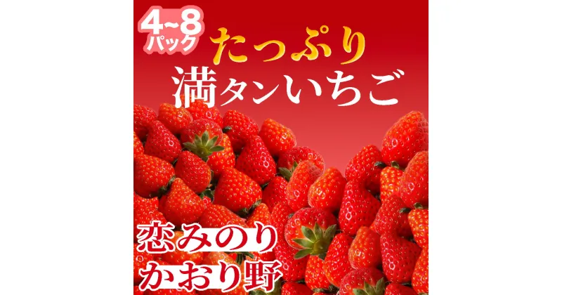 【ふるさと納税】【2025年3月から5月発送予定】たっぷり 満タンいちご （約230g×4パック 約230g×8パック）恋みのり、かおり野　から厳選（小粒～中粒） 送料無料 みなみのいちご園 いちご 恋みのり かおり野 生いちご イチゴ 苺 甘い 静岡 果物 フルーツ 南伊豆町産