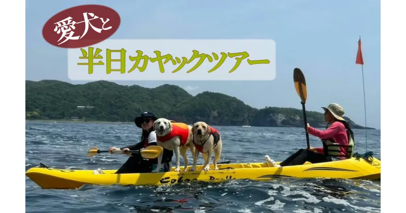 【ふるさと納税】ワンちゃんと一緒にシーカヤック体験(4人、ワンちゃん1匹) カヤック kayak 犬 海 シーカヤック サマー オーシャン 夏 春 サーフィン 海遊び アウトドア レジャー レッスン 体験 インストラクター レンタル 伊豆 南伊豆 体験 アクティビティ