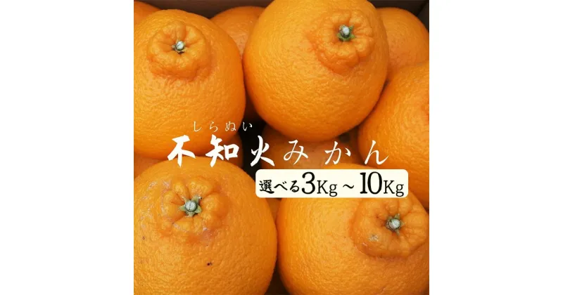 【ふるさと納税】【2025年2月上旬から配送】】湯の花 不知火3Kg/5Kg/10Kg箱セット 3kg 5kg 10kg 不知火 ミカン みかん ポンカン ぽんかん 清見 フルーツ 甘い 静岡 伊豆 南伊豆 美味い 在庫限り 2025年3月頃～配送 道の駅 直売所