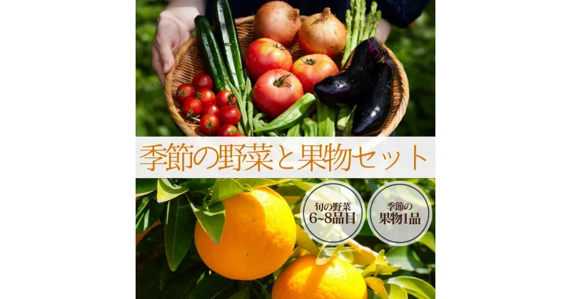 【ふるさと納税】季節の野菜と果物セット 7〜9品 大容量 大満足 レシピ付き 旬 野菜 フルーツ 果物 定期便 お楽しみ 詰め合わせ 春 夏 秋 冬 おまかせ ギフト セット 新鮮 やさい 産地直送 直売所 美味しい 伊豆 南伊豆町 送料無料 湯の花