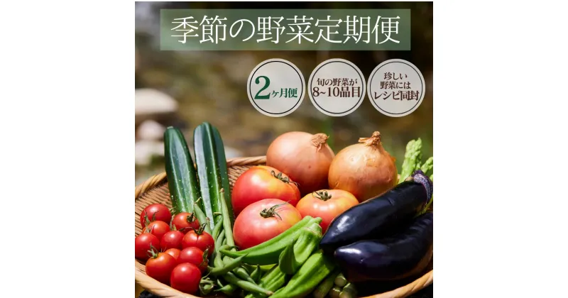 【ふるさと納税】楽天限定 季節の野菜定期便 2ヶ月 セット 大容量 大満足 レシピ付き 旬 野菜 フルーツ 果物 定期便 お楽しみ 詰め合わせ 春 夏 秋 冬 おまかせ ギフト セット 新鮮 やさい 産地直送 直売所 美味しい 伊豆 南伊豆町 送料無料 湯の花