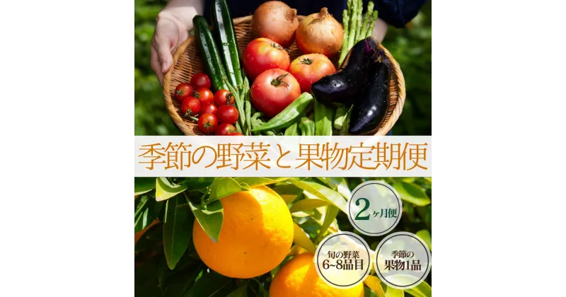 【ふるさと納税】楽天限定 季節の野菜と果物定期便 2ヶ月 7〜9品 野菜 果物 フルーツセット 大容量 大満足 レシピ付き 旬 フルーツ 定期便 お楽しみ 詰め合わせ 春 夏 秋 冬 おまかせ ギフト セット 新鮮 やさい 産地直送 直売所 伊豆 南伊豆町 送料無料 湯の花