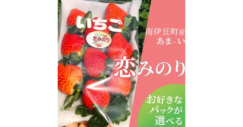 【ふるさと納税】【予約受付】【2025年3月から5月順次発送予定】完熟いちご恋みのり 選べる2パック/4パック（DXパック）送料無料 みなみのいちご園 いちご 生いちご イチゴ 苺 甘い 恋みのり 560g 1120g人気 大人気 おすすめ 静岡 果物 フルーツ 甘い 南伊豆町産 静岡県 静岡