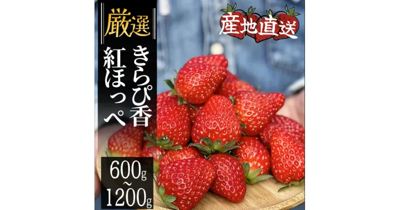 【ふるさと納税】予約受付 2025年2月以降配送 完熟紅ほっぺ いちご 生いちご 紅ほっぺ きらぴ香 2パック 4パック 600g 1200g STRAWBERRY FARM ITODA 地元JA品評会金賞受賞 国産 完熟 スムージー ジャム ヨーグルト 一口サイズ イチゴ 苺 果物 フルーツ 静岡 いちご 旬 甘い