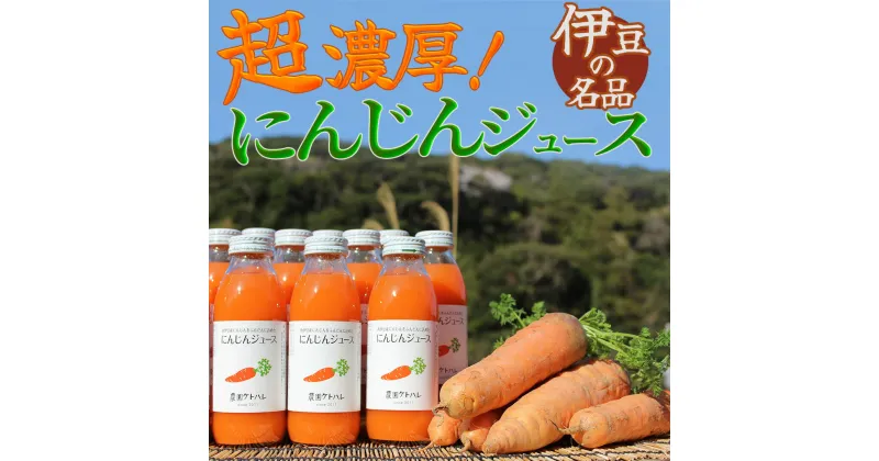 【ふるさと納税】にんじんジュース 無添加 無着色 果汁100% 350ml×6本入 350ml×12本入 ジュース 人参 ニンジン 飲料 朝食 朝ごはん 健康 ヘルシー りんご レモン 果物 フルーツ 国産 送料無料 静岡 南伊豆