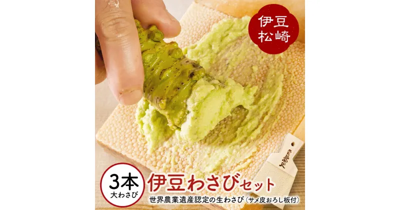 【ふるさと納税】伊豆のわさびセットG わさび セット おろし板 wasabi 生わさび 世界農業遺産 山葵 ギフト 通販