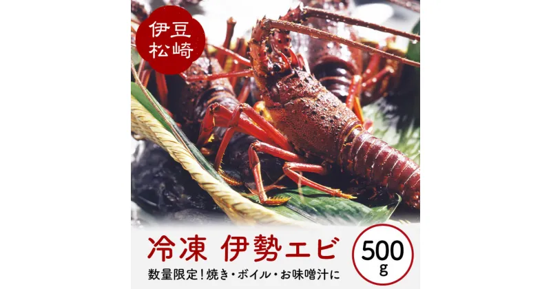 【ふるさと納税】冷凍 伊勢海老 500g