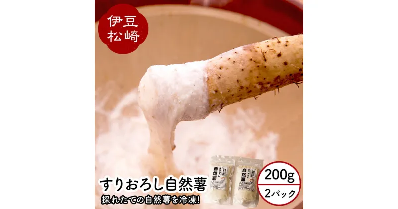 【ふるさと納税】婆娑羅農産 すりおろし 自然薯 2パック