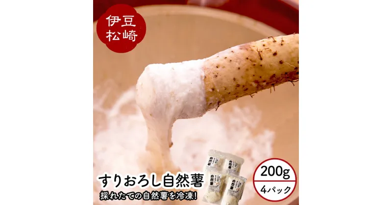 【ふるさと納税】婆娑羅農産 すりおろし 自然薯 4パック