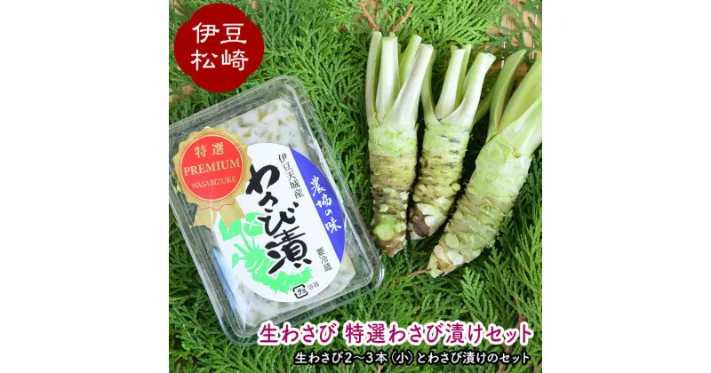 【ふるさと納税】生わさび 特選わさび漬けセット1 わさび セット wasabi 本わさび わさび漬 通販