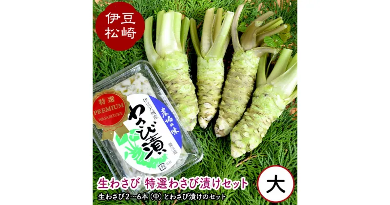 【ふるさと納税】生わさび 特選わさび漬けセット2 わさび セット wasabi 本わさび わさび漬 通販