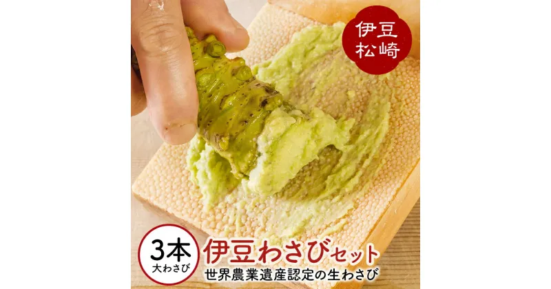 【ふるさと納税】伊豆のわさびセットF わさび セット wasabi 生わさび 世界農業遺産 山葵 ギフト 通販