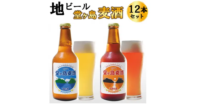 【ふるさと納税】 ビール 麦酒 地ビール 瓶 ご当地 堂ヶ島 飲み比べ クラフトビール 伊豆 西伊豆 地ビール「堂ヶ島麦酒」12本セット