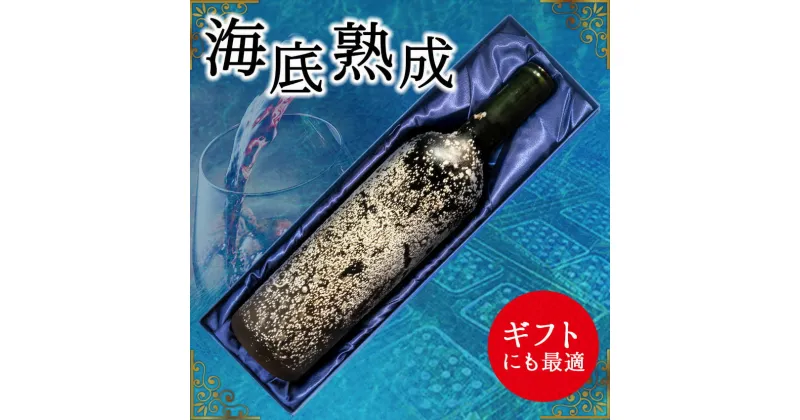 【ふるさと納税】「海底熟成ワインVOYAGE」飲み比べ4本セット